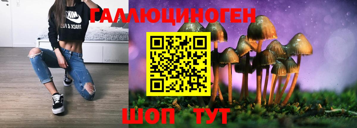 Псилоцибиновые грибы ЛСД  Вход с VPN  Видное  Псилоцибиновые грибы Psilocybine cubensis 